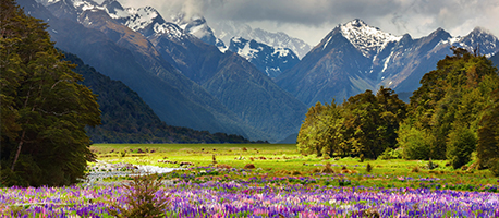 ניו זילנד - טיול טבע מושלם לאוהבי לכת, 21 ימים